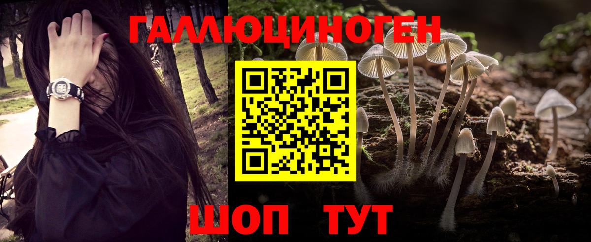 Павловский Посад  Галлюциногенные грибы ЛСД  Галлюциногенные грибы Cubensis  Вход с VPN 